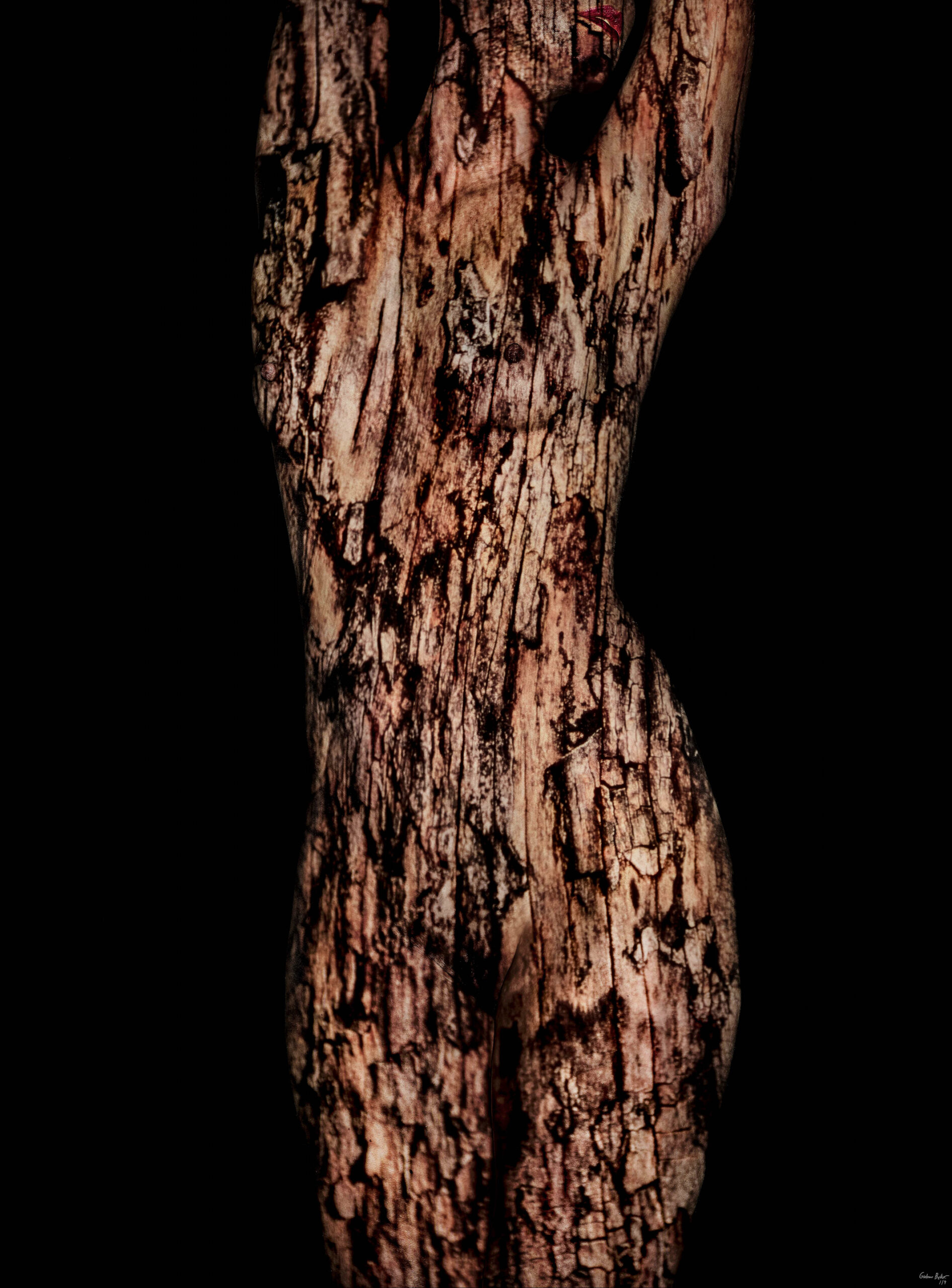 Giuliano-Bekor-Acacia-Series-ARW3-2MB.jpg