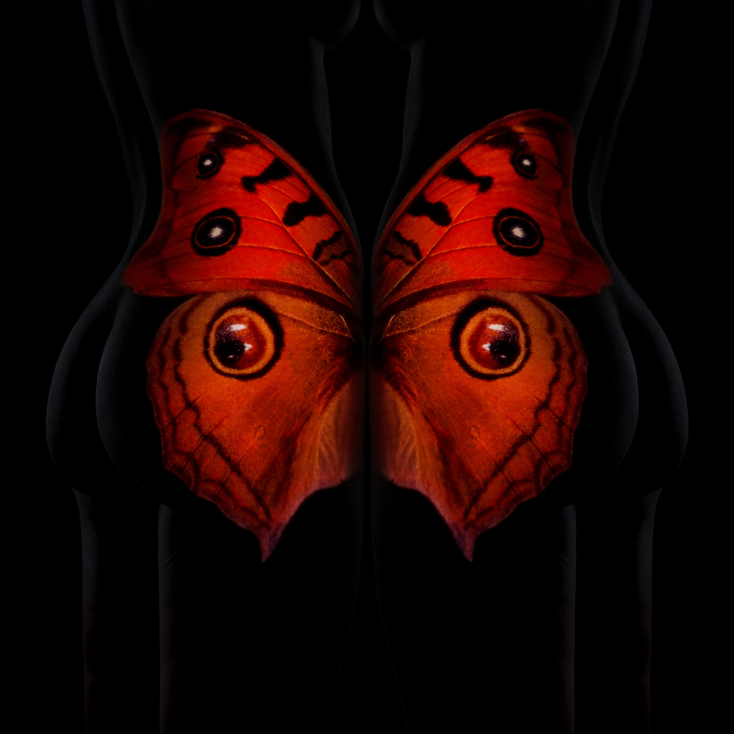 Giuliano-Bekor-Butterfly-Series-B25-Print-size-40x40-1.jpg