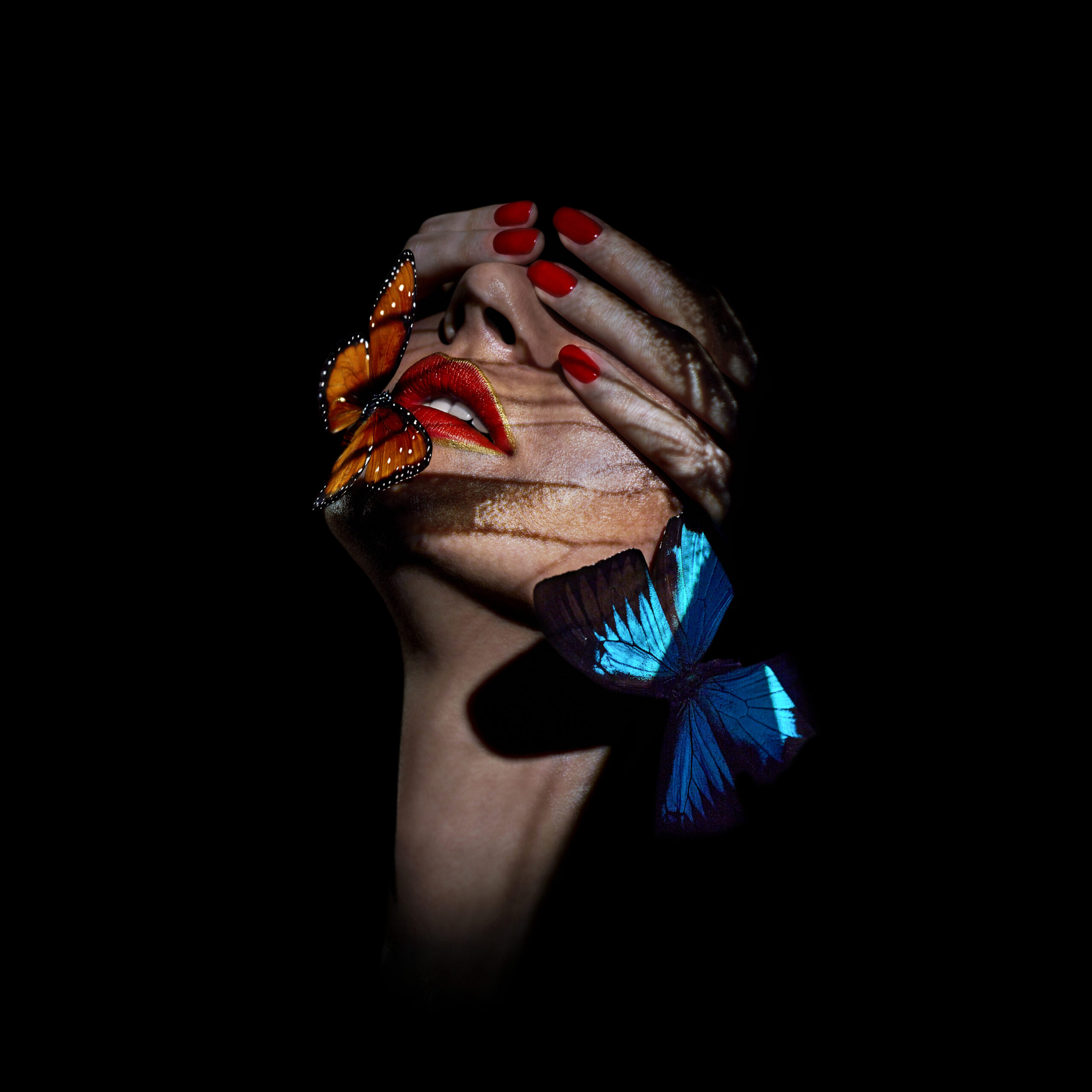 Giuliano-Bekor-Butterfly-Series-B6-Print-size-40x40-1.jpg
