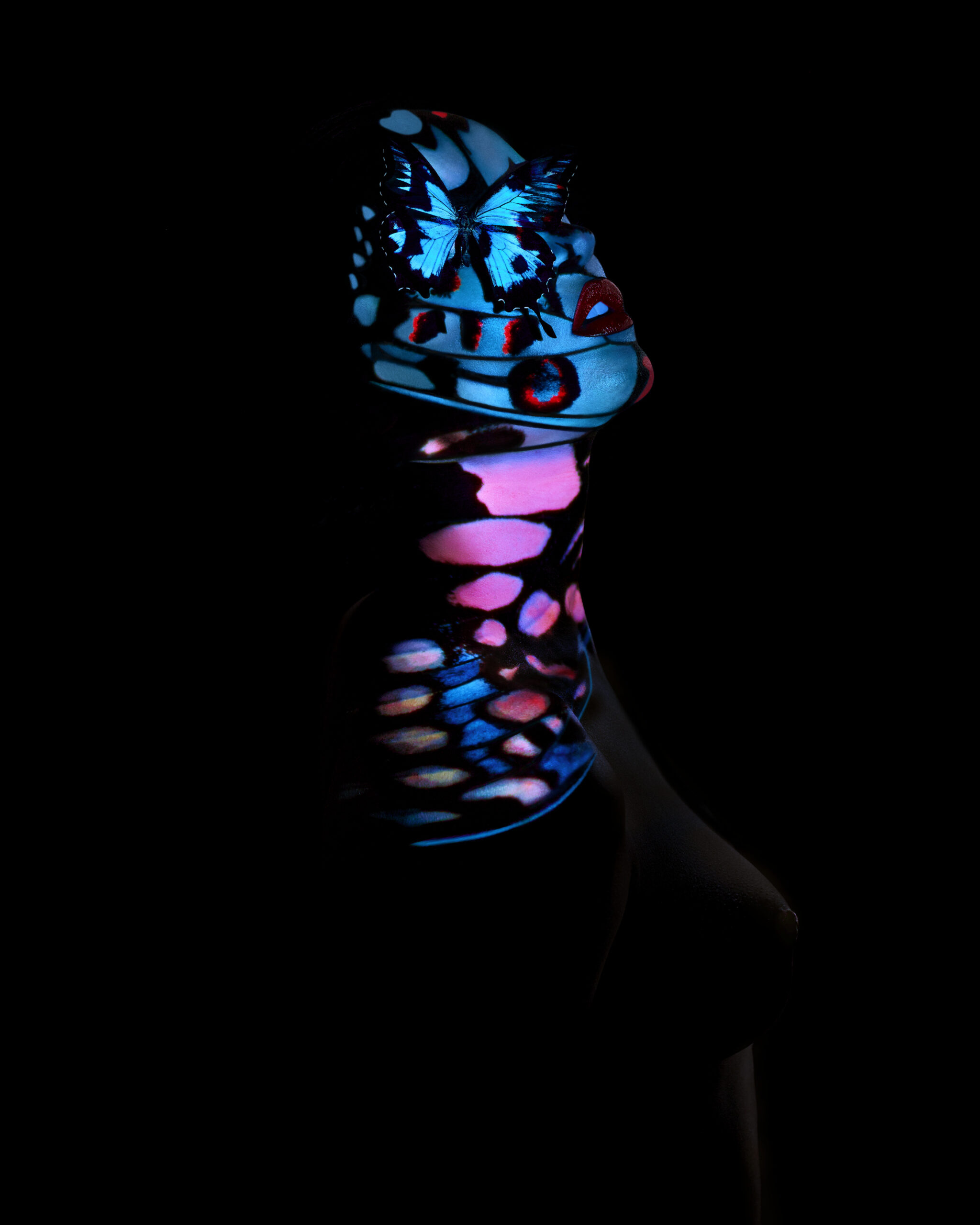 Giuliano-Bekor-Butterfly-series-B10-Print-size-40x50-1.jpg