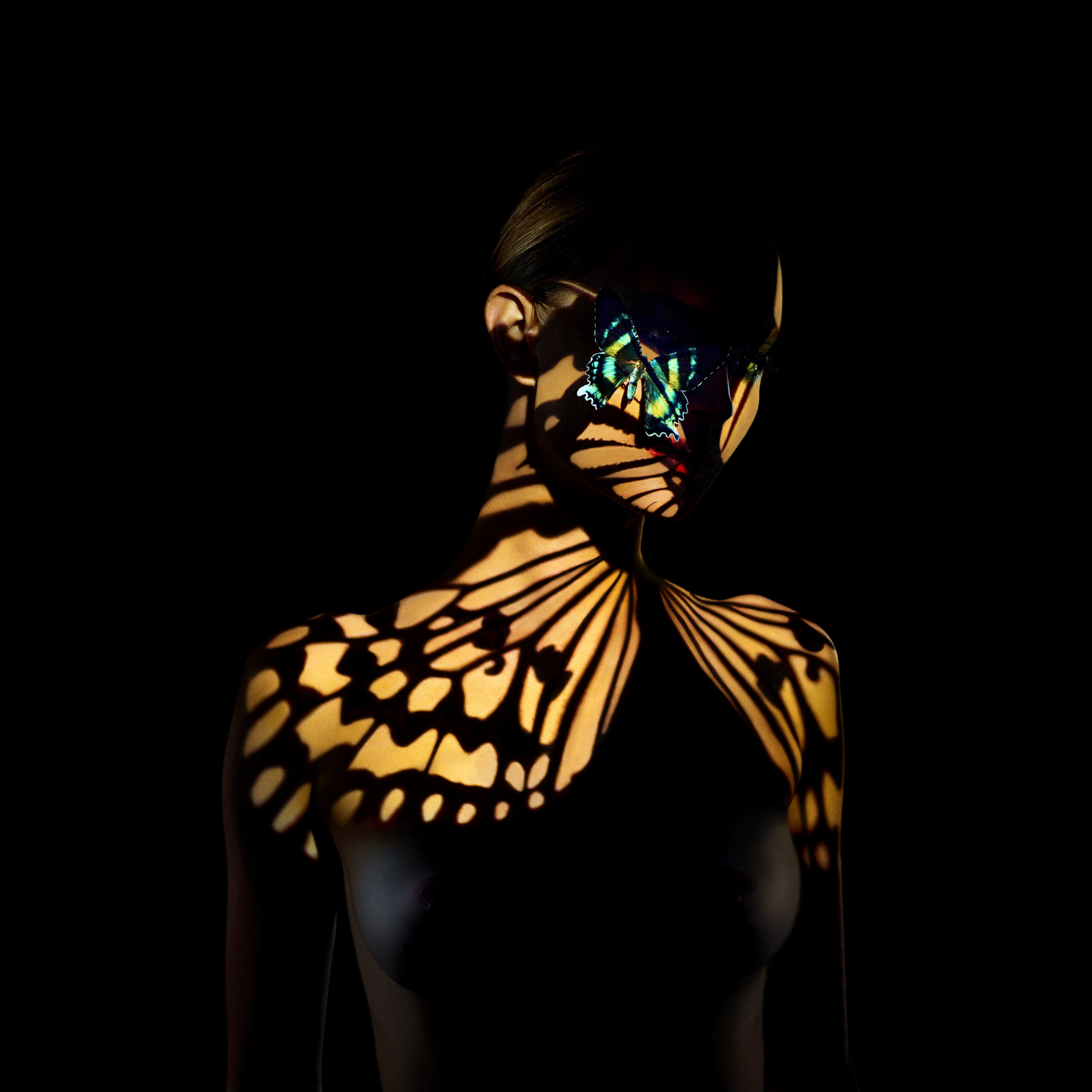 Giuliano-Bekor-Butterfly-series-B2-Print-size-40x40-1.jpg