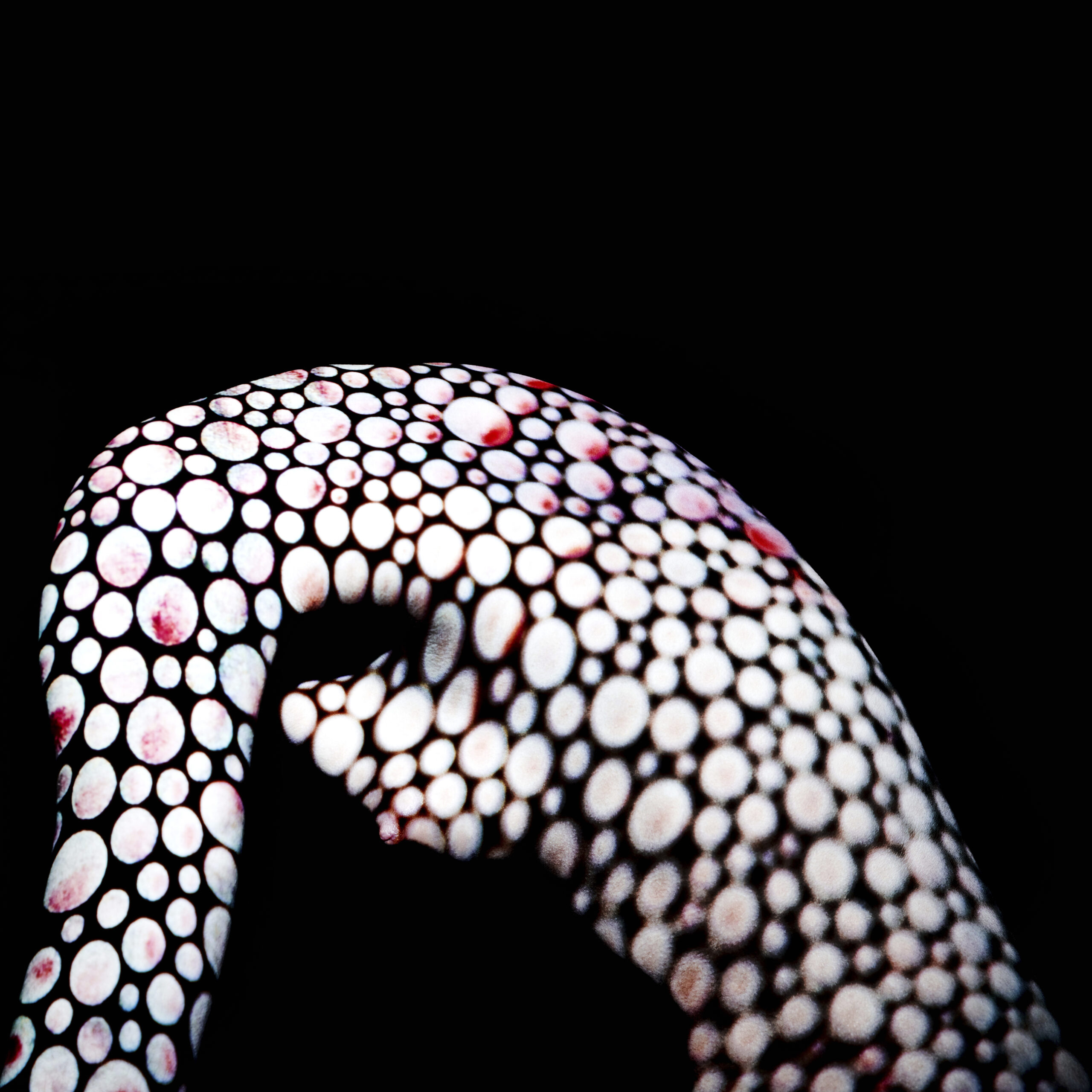 Giuliano-Bekor-Modernismo-Series-M4-Size-40x40-Inches-scaled-1.jpg