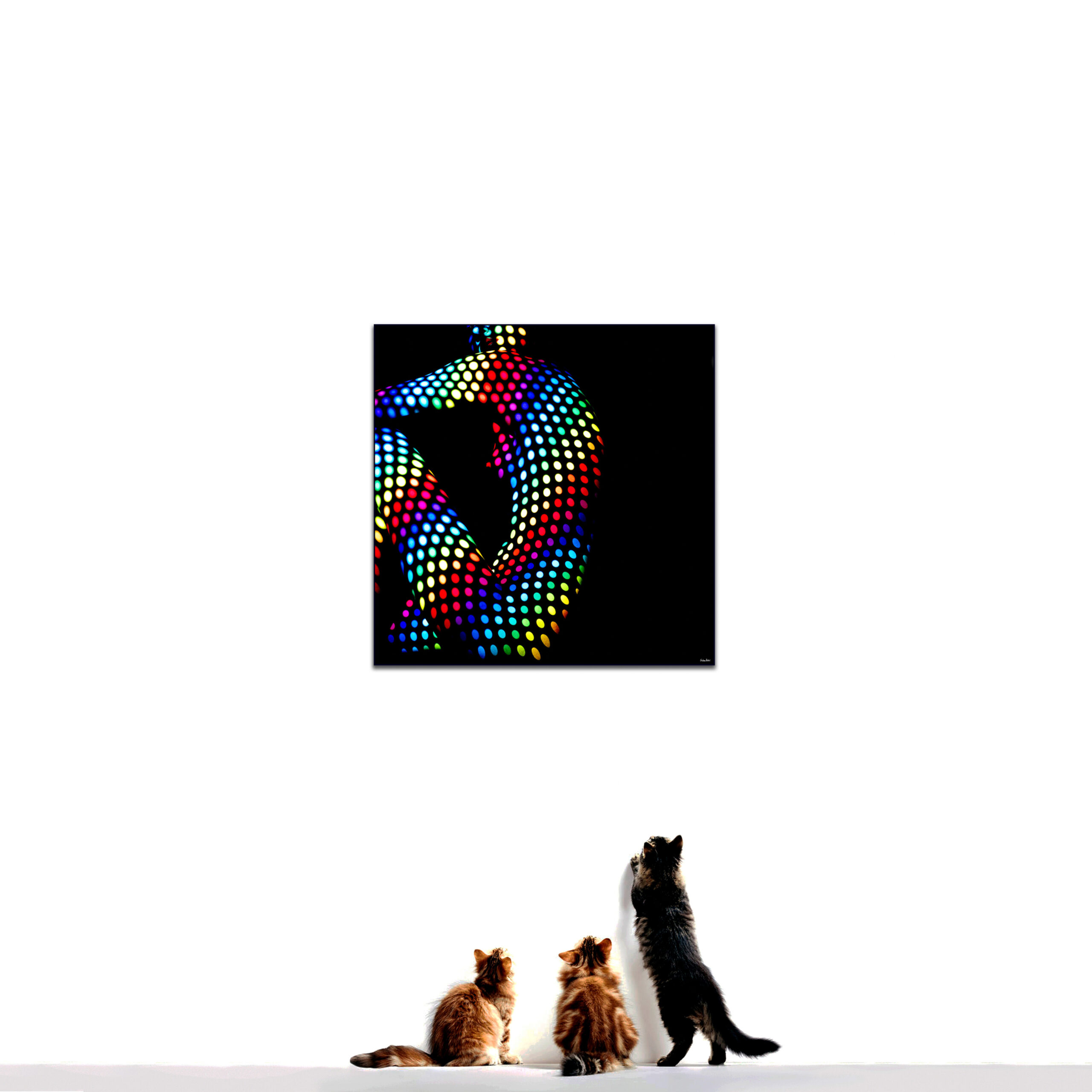 © Giuliano Bekor Modernismo series M48-Gallery wall
