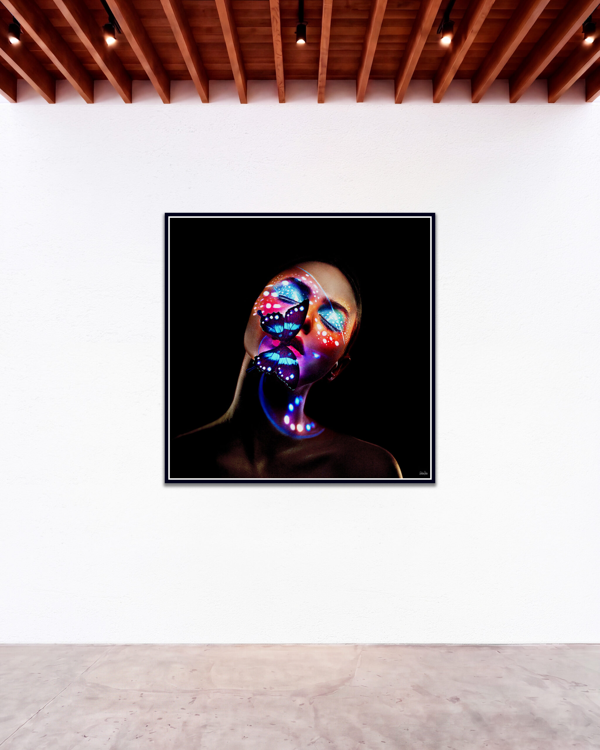 © Giuliano Bekor Butterfly series B11 GBG Gallery wall