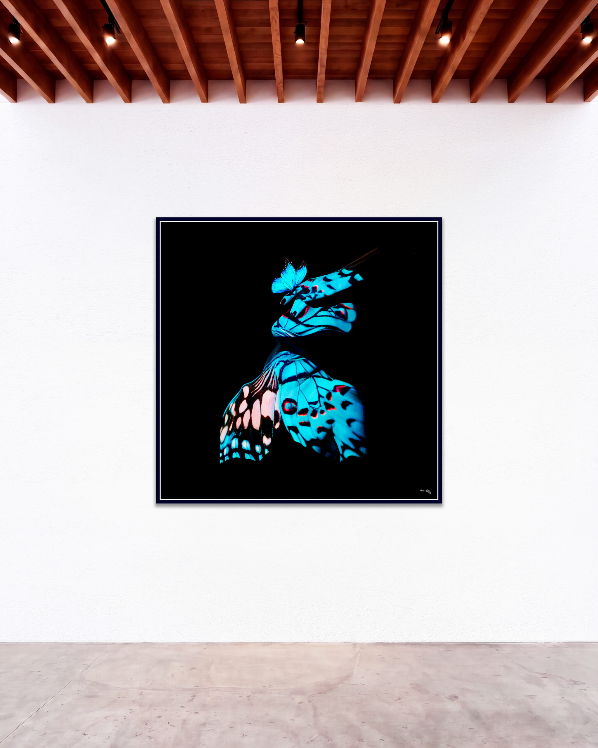 © Giuliano Bekor Butterfly series B14 GBG Gallery wall