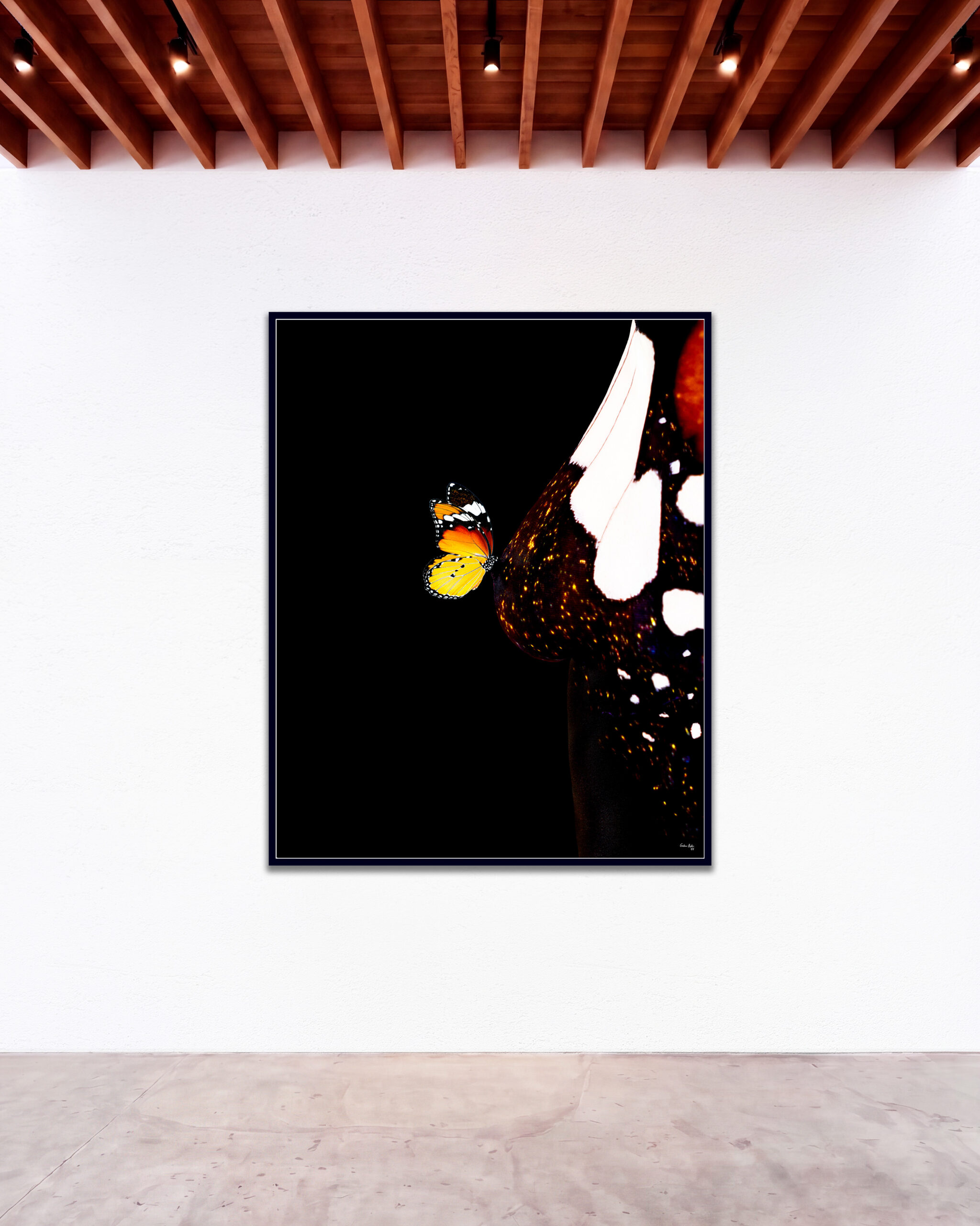 © Giuliano Bekor Butterfly series B16 GBG Gallery wall