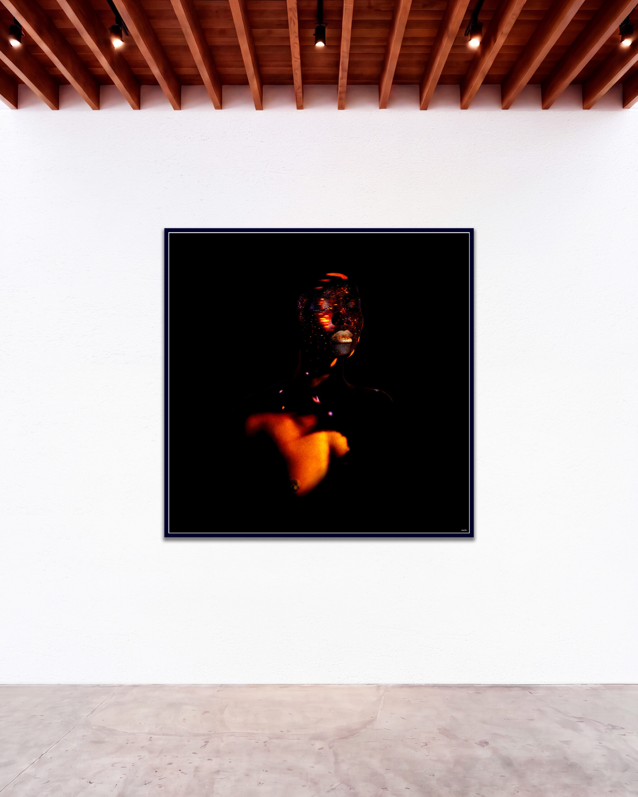 © Giuliano Bekor Butterfly series B17 GBG Gallery wall
