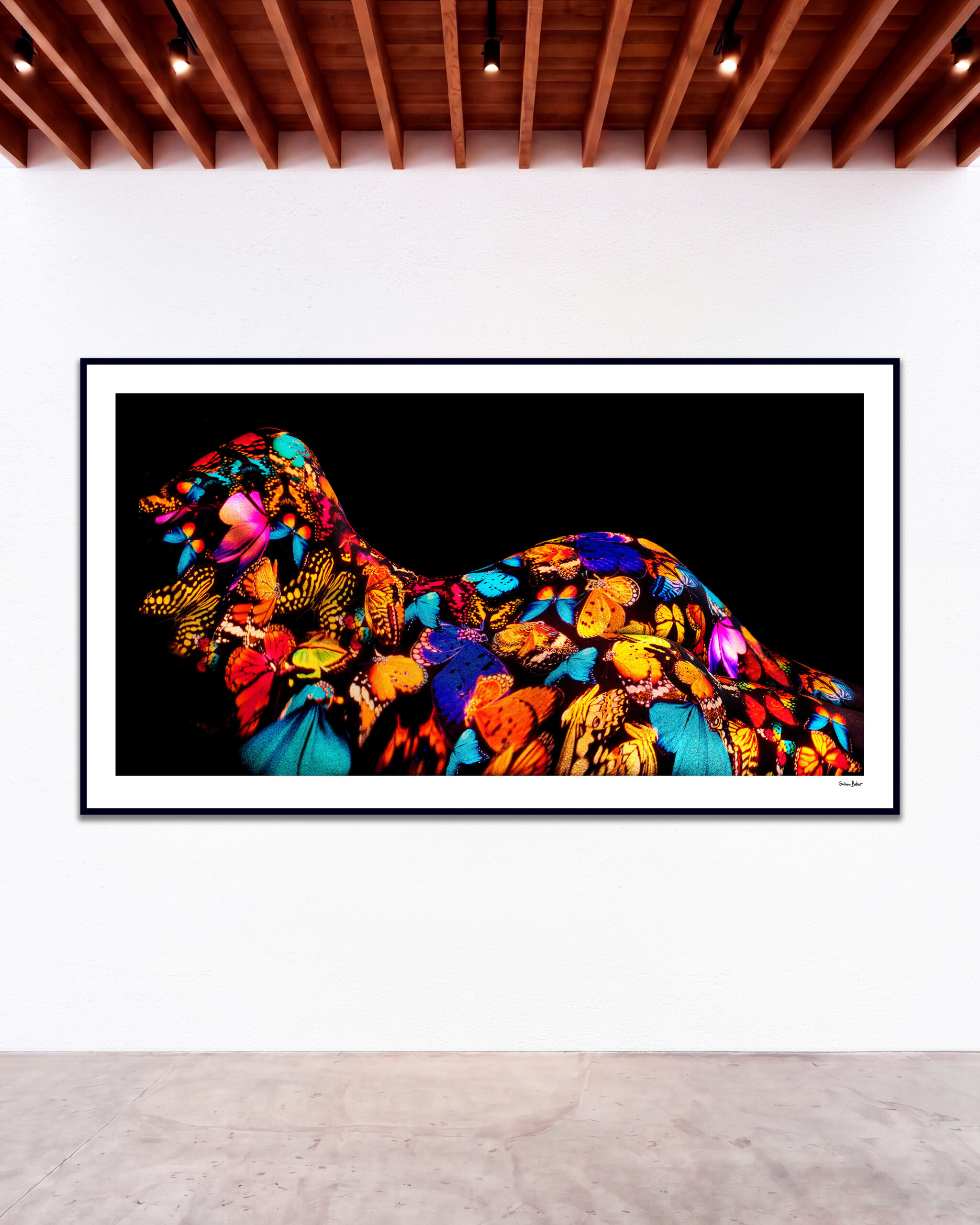 © Giuliano Bekor Butterfly series B26 GBG Gallery wall