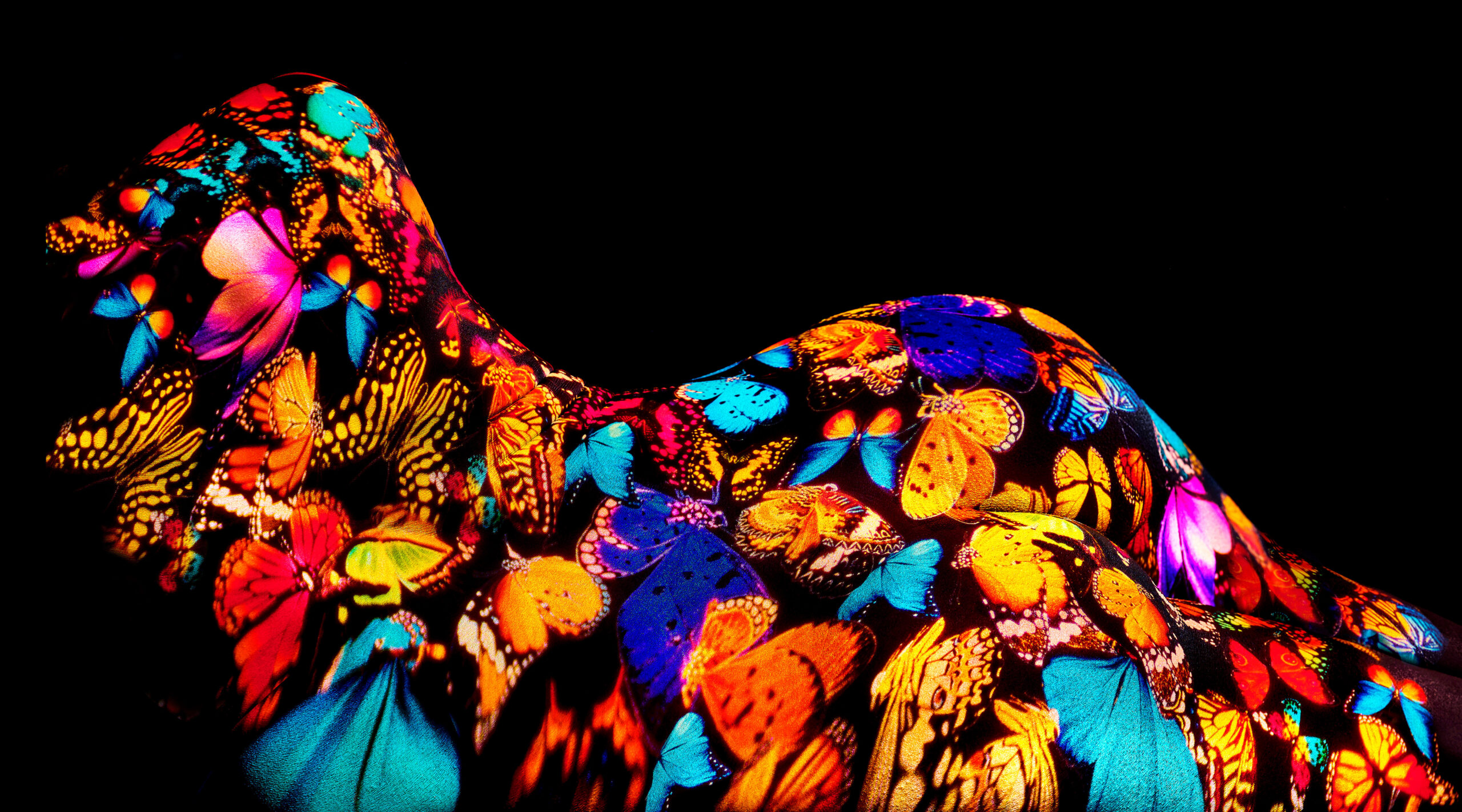 © Giuliano Bekor Butterfly series B26 P 40x72 Inches