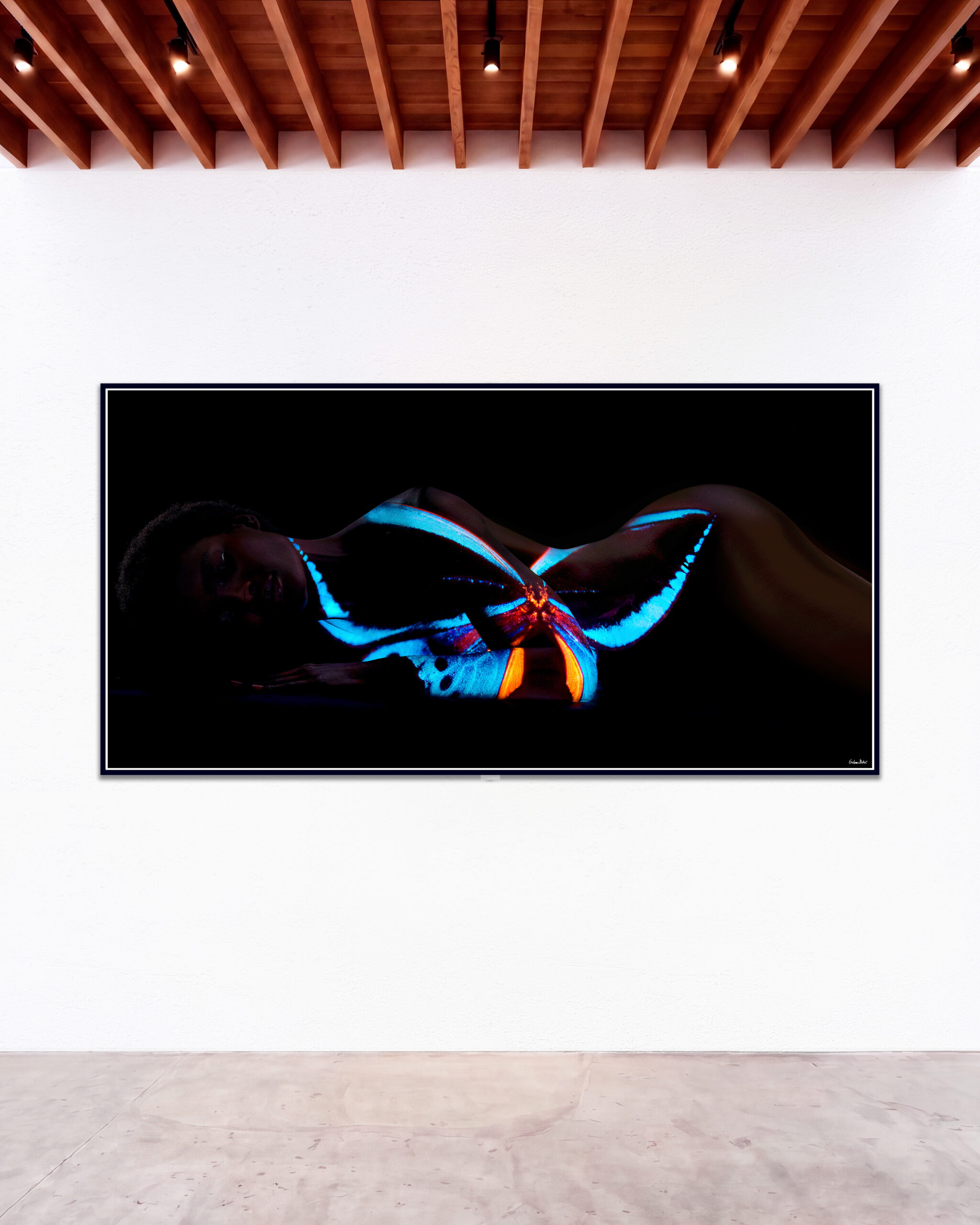 © Giuliano Bekor Butterfly series B30 GBG Gallery wall