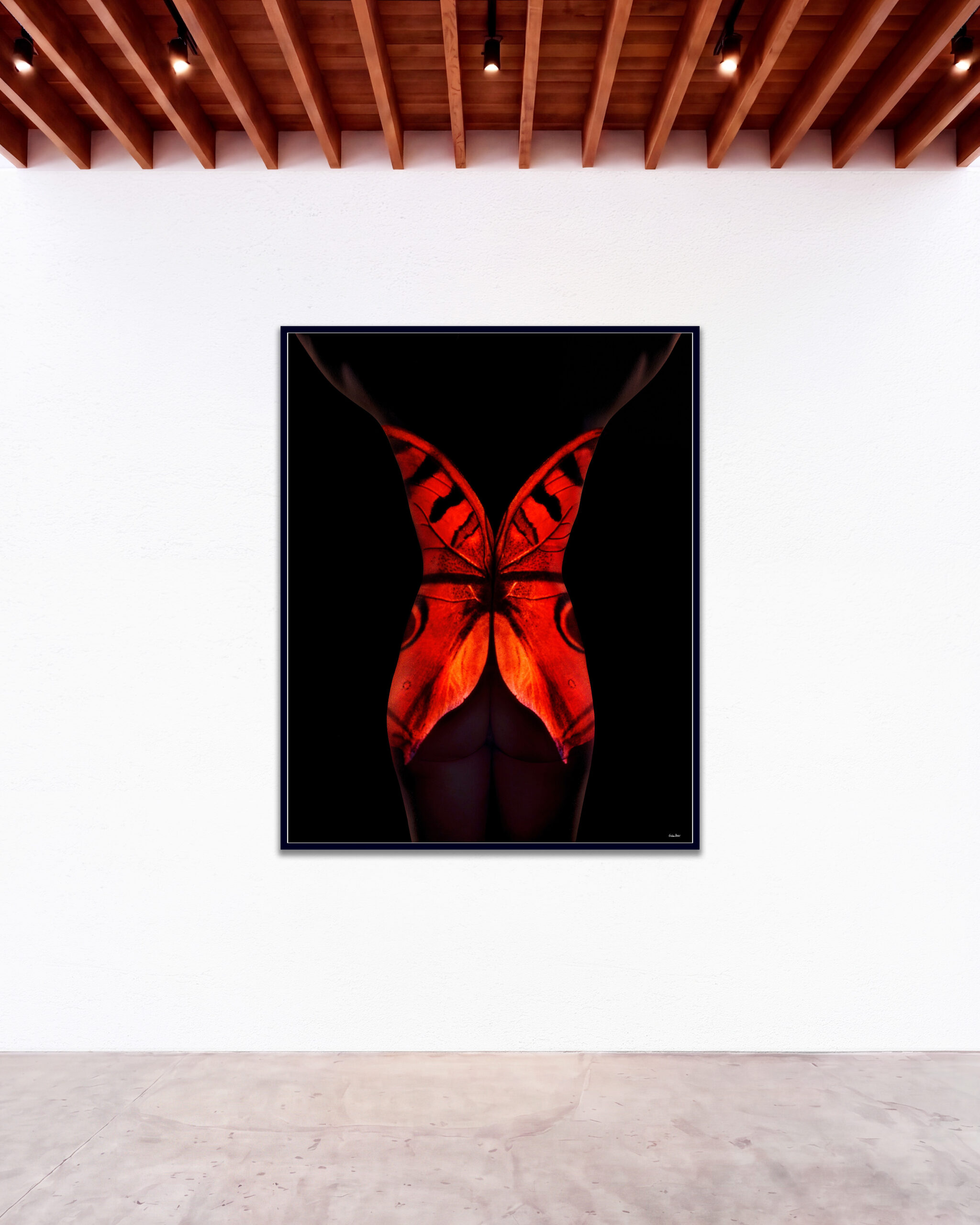 © Giuliano Bekor Butterfly series B32 GBG Gallery wall