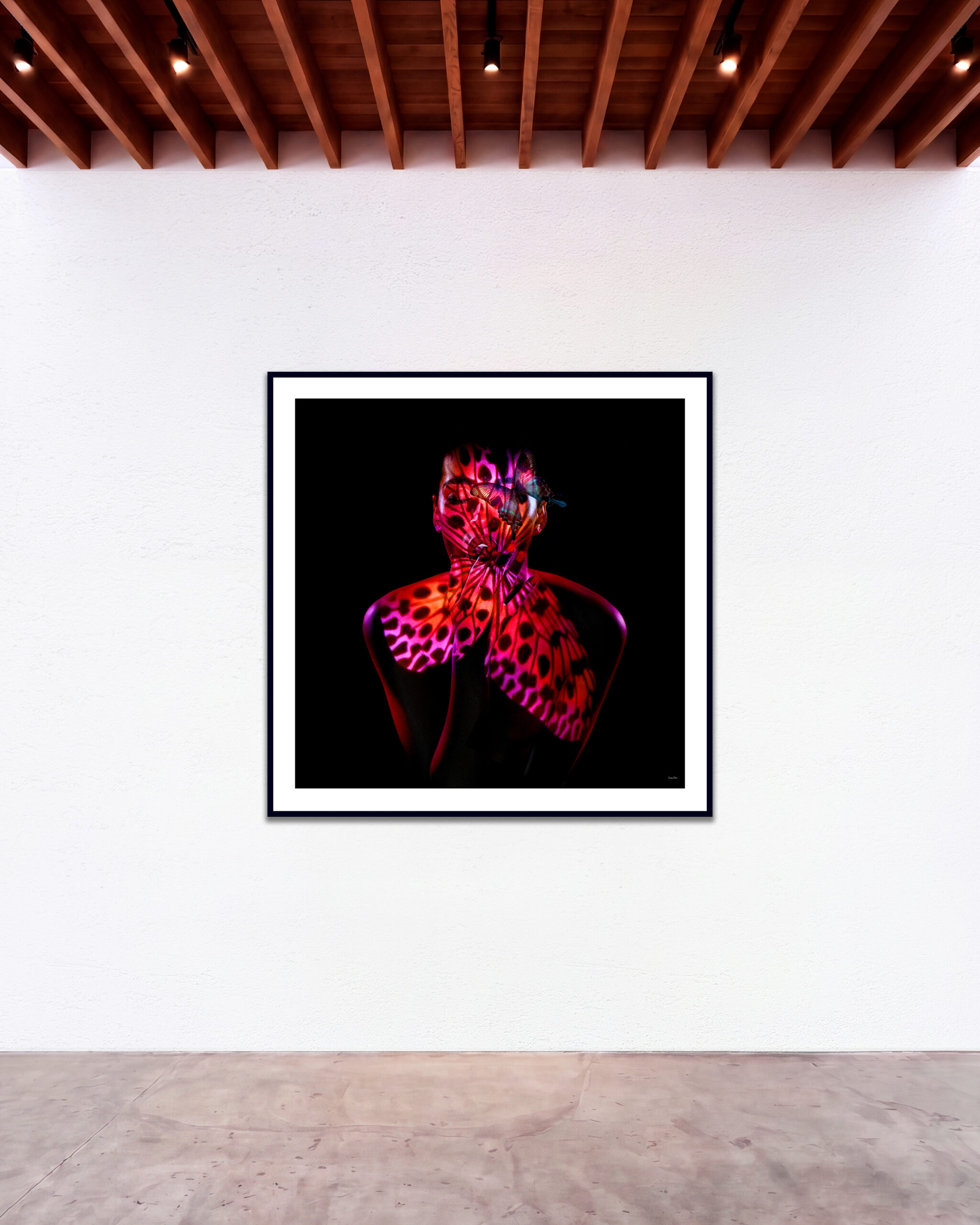 © Giuliano Bekor Butterfly series B37 GBG Gallery wall