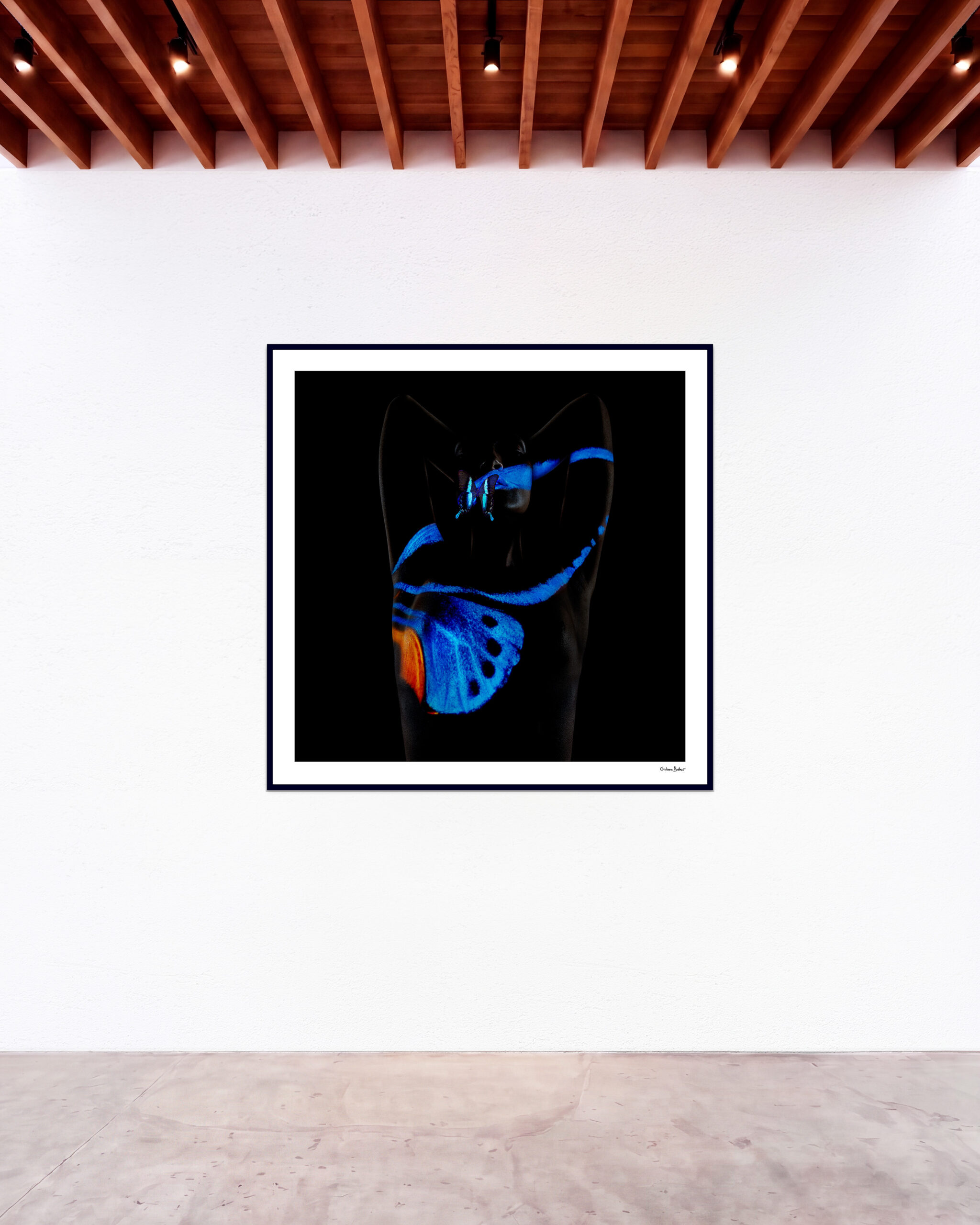 © Giuliano Bekor Butterfly series B7 GBG Gallery wall